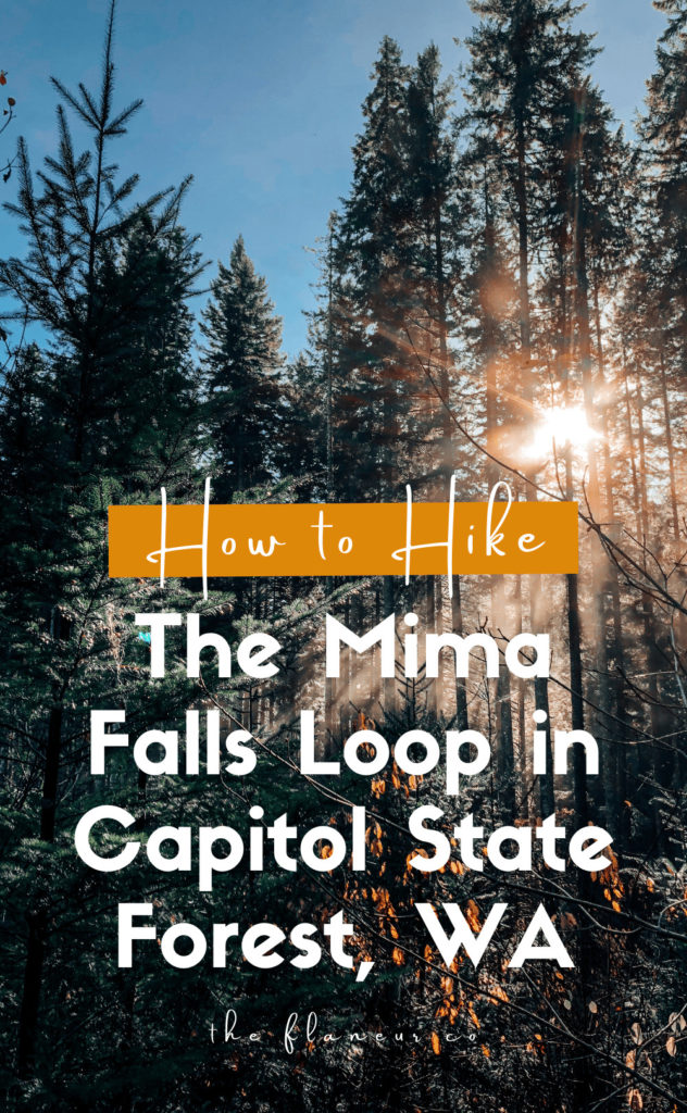 Hiking in the PNW is one of the most BEAUTIFUL experiences, even if you've lived here forever. Mima Falls Loop is the first trail I ever hiked and one of the reasons I live in Washington today. Learn about our experience and get the DL on everything you need to know about Mima Falls today!