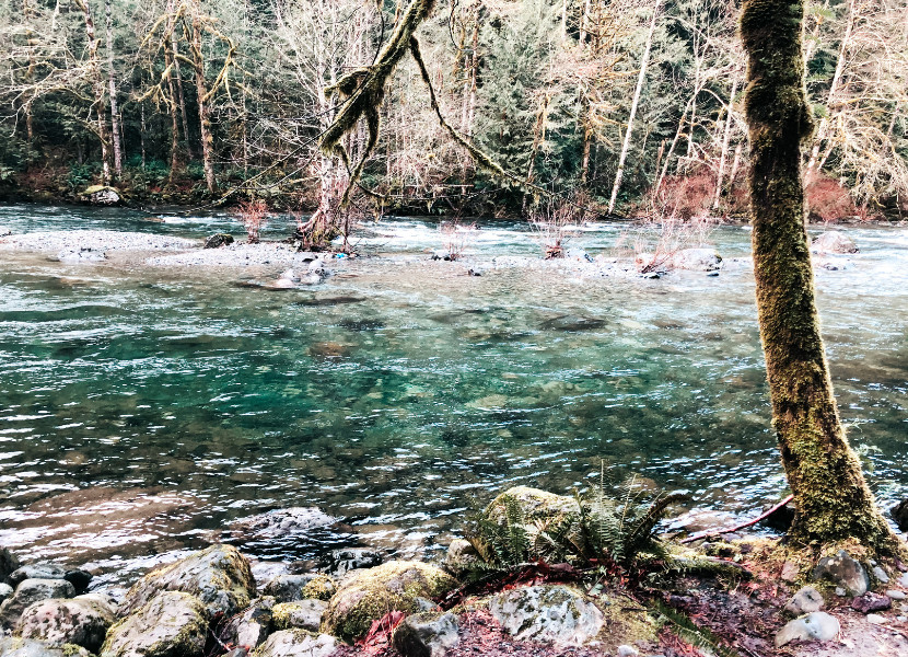 View of the Snoqualmie River along the Twin Falls Trail